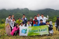 Grow Leaf Project