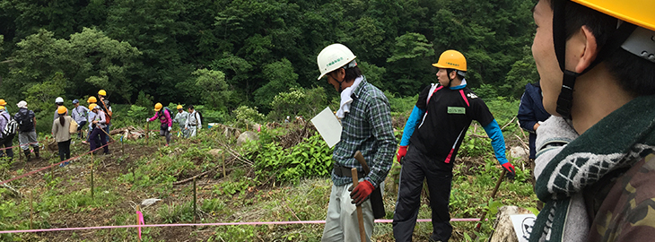 ブロードリーフ社員の参加による植樹の様子（宮城県大崎市）