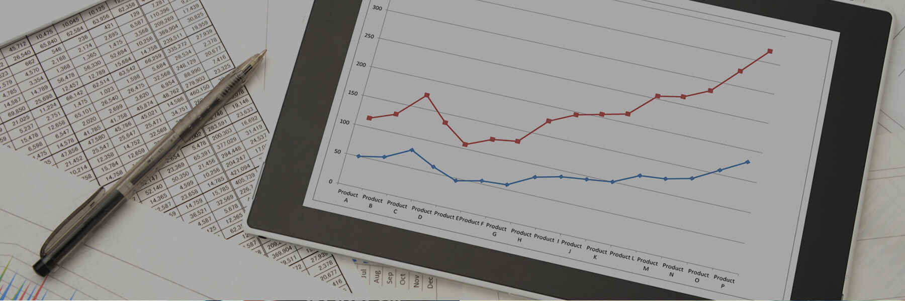 PROFIT AND LOSS STATEMENT image